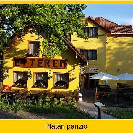 Platan Panzio Hotell Dobogoko Eksteriør bilde